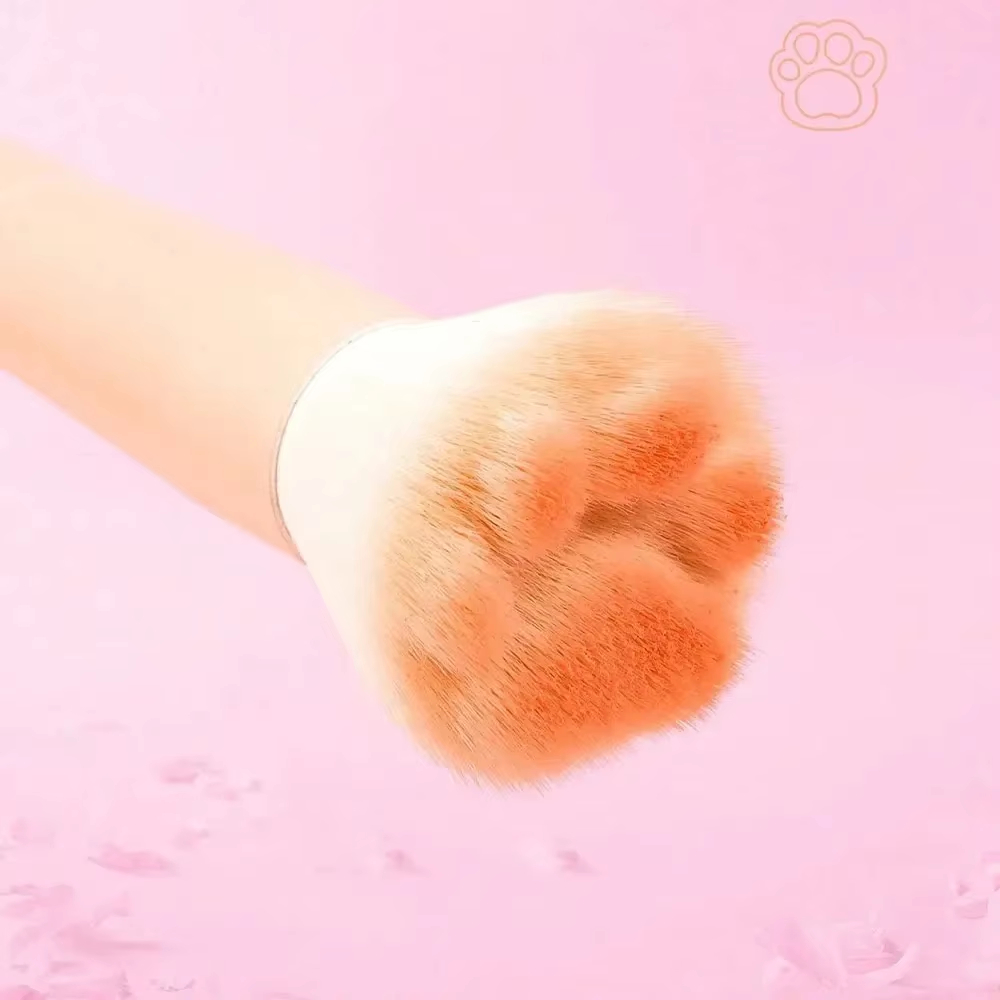 1Pc 고양이 발 모양 블러셔 브러쉬(보관 상자 포함) - Beauty Queen Makeup 리뷰 및 가격